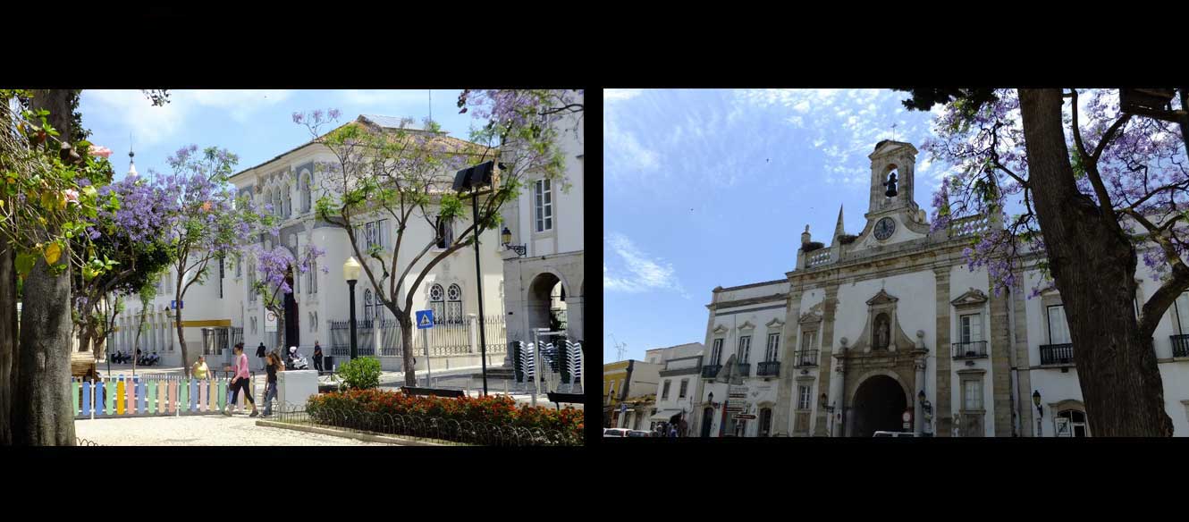 Faro