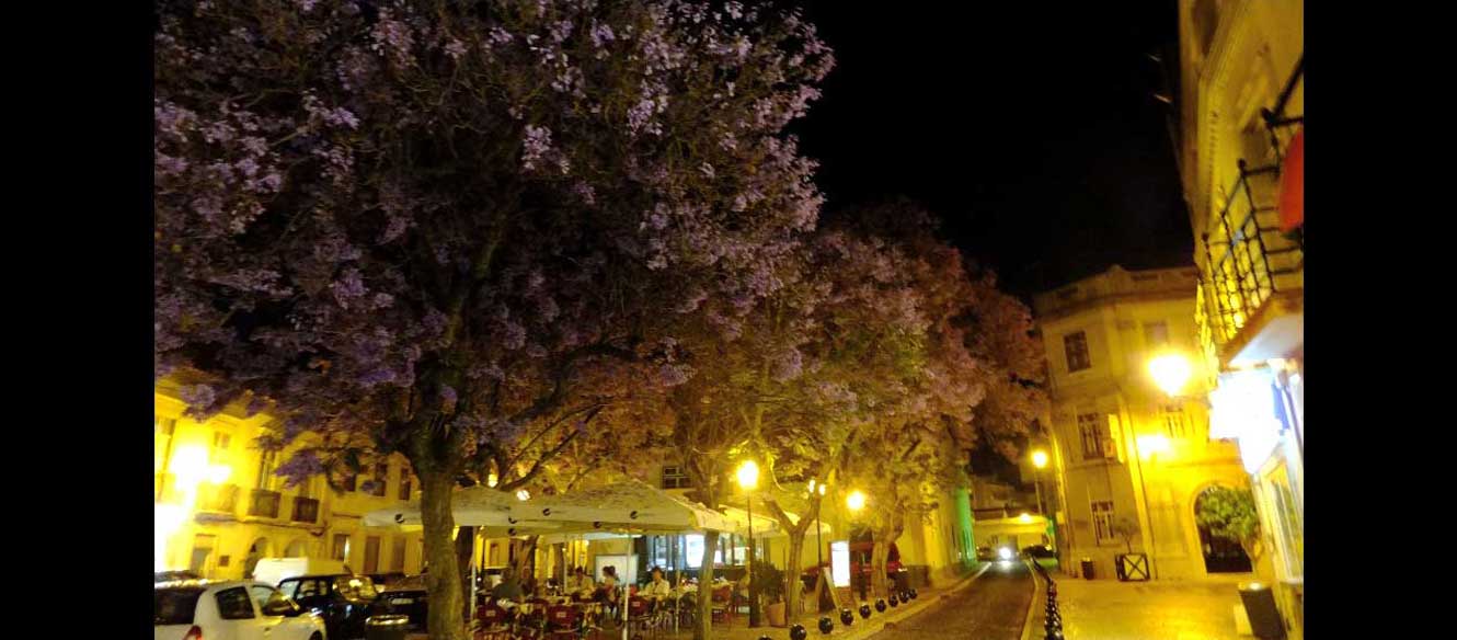 Faro