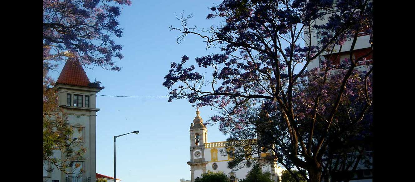 Faro