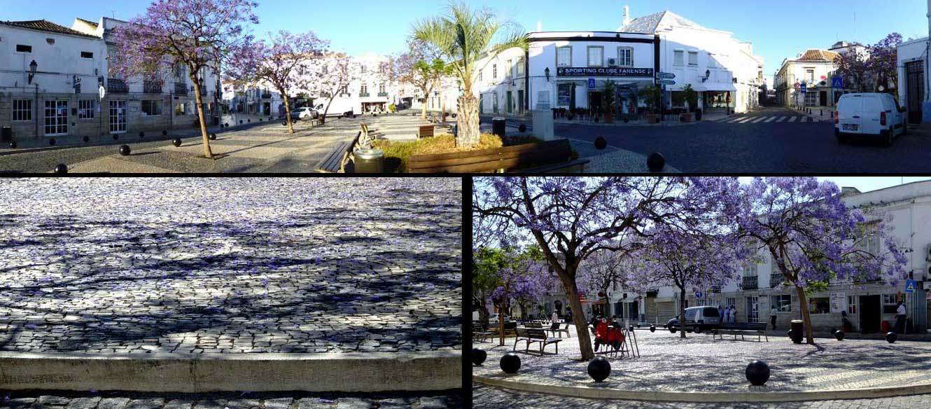 Faro