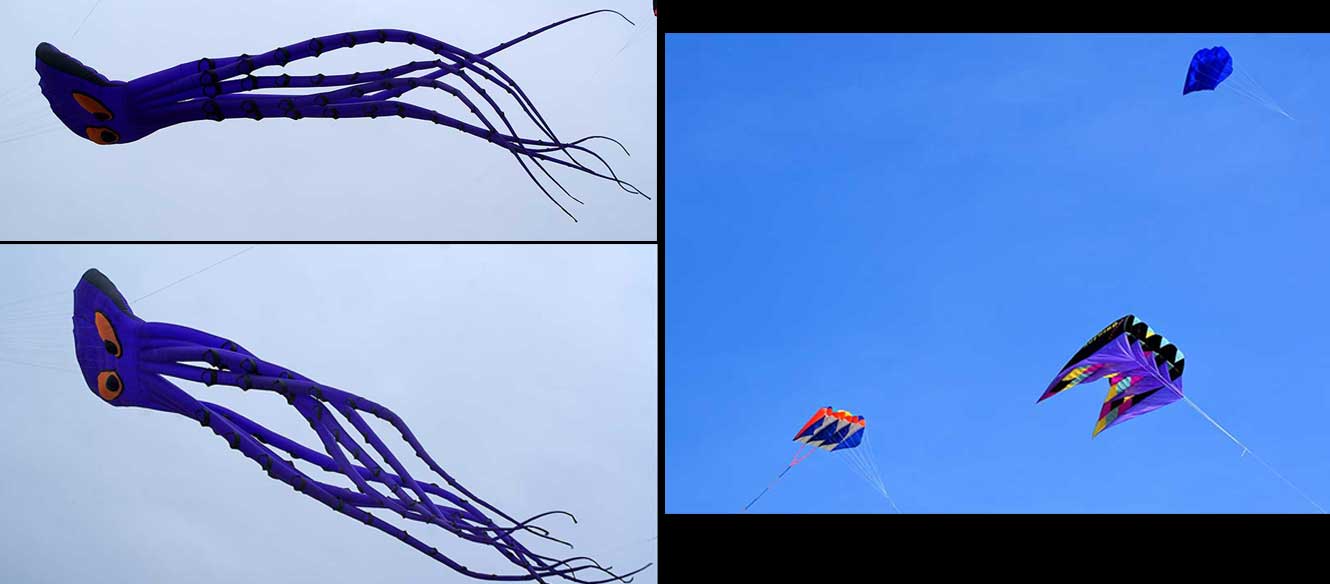 Berck sur mer