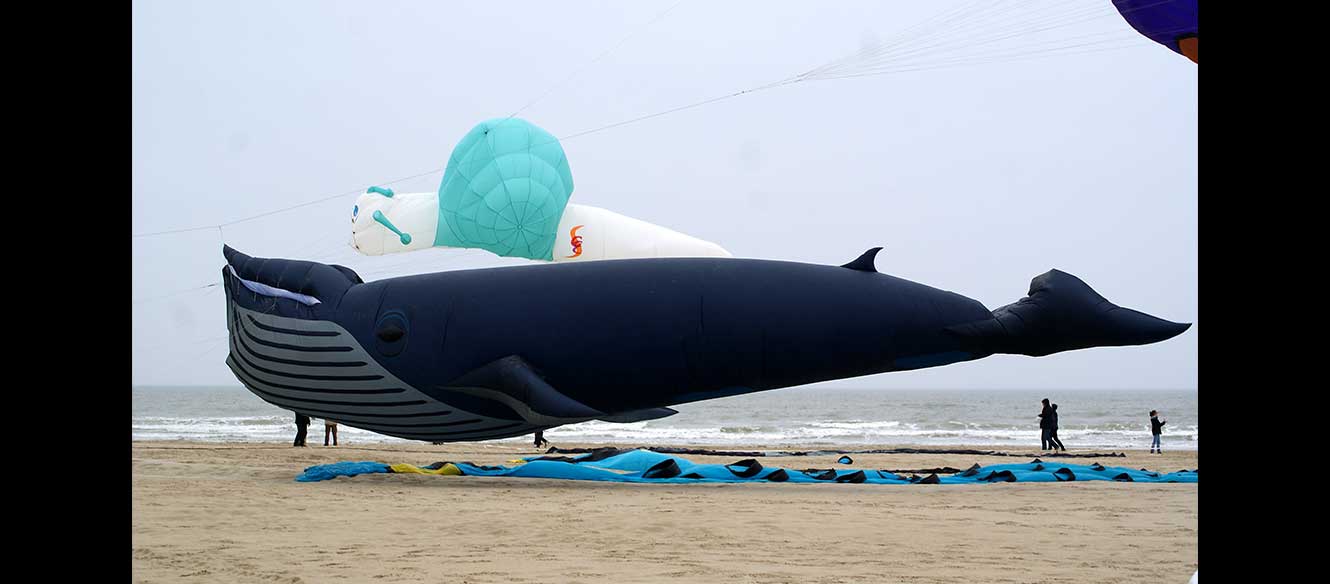 Berck sur mer