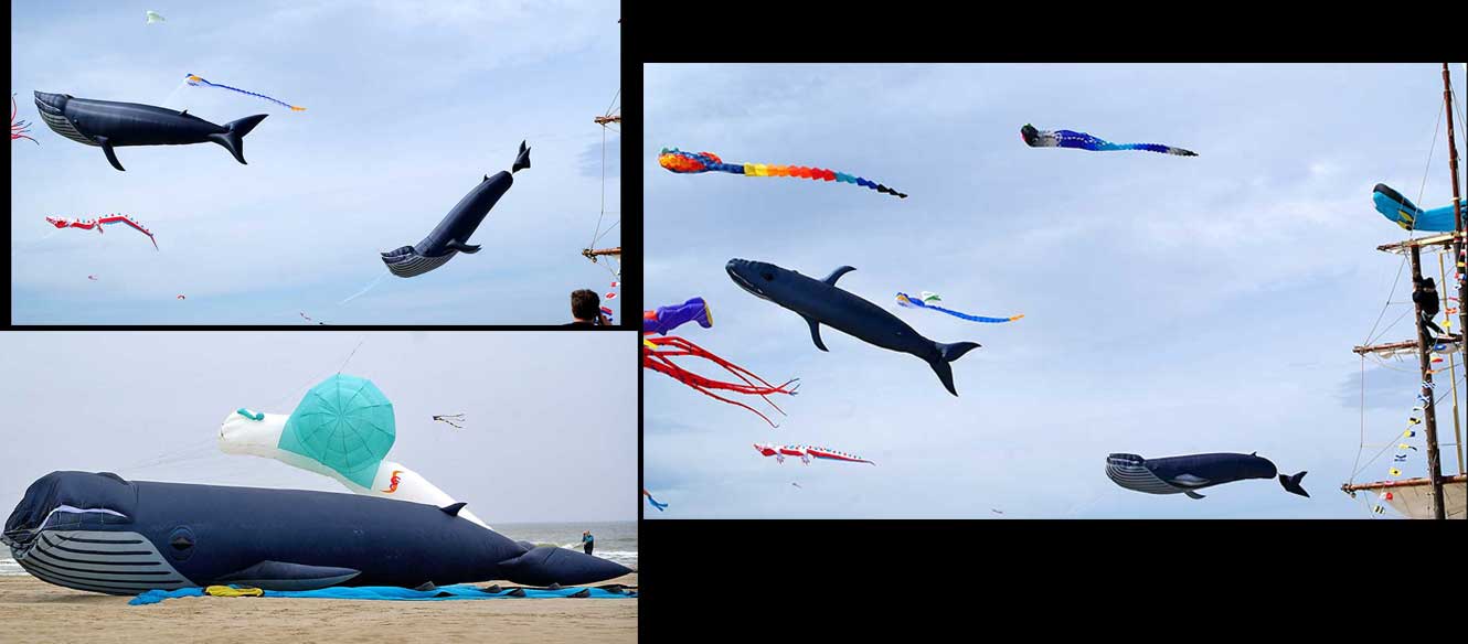 Berck sur mer