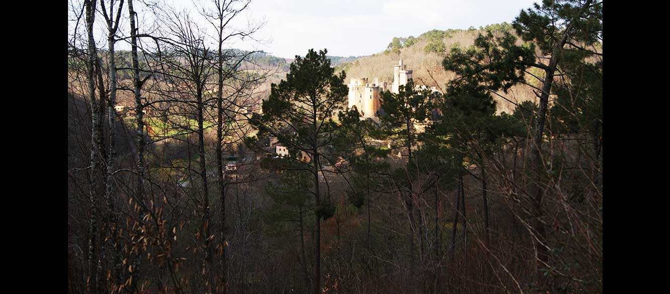 Bonaguil