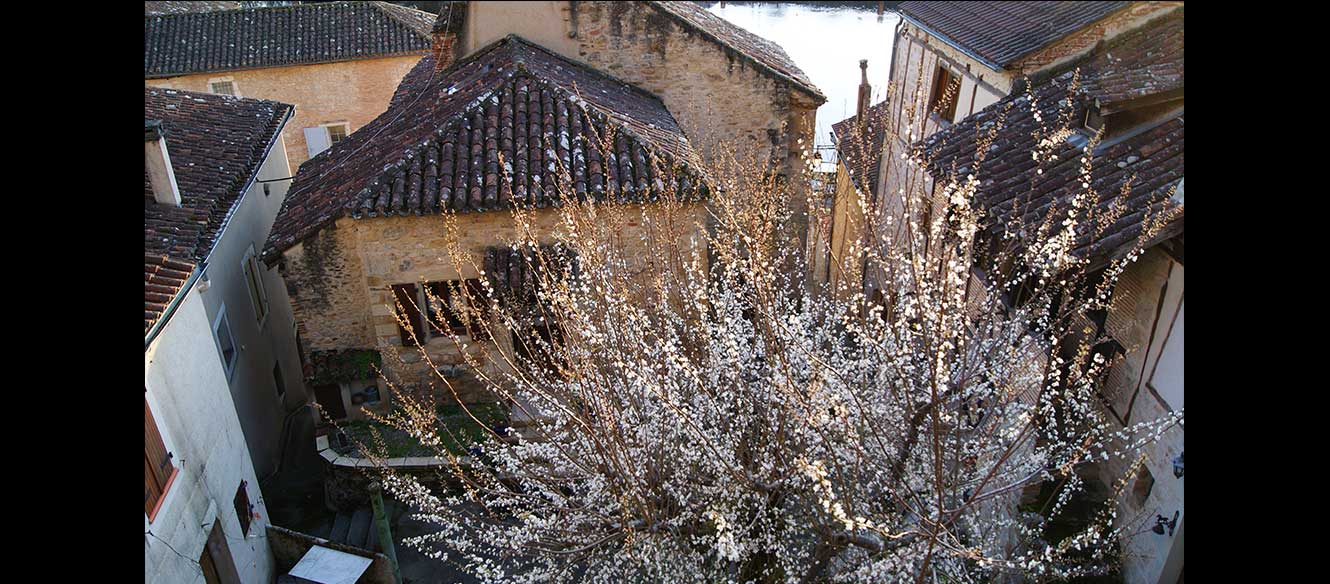Puy lévêque