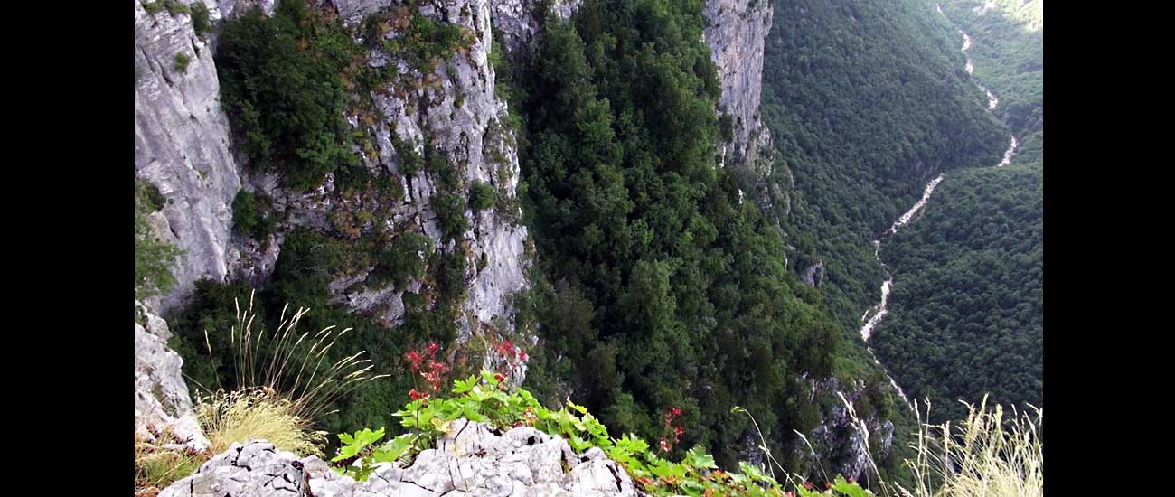 Vikos