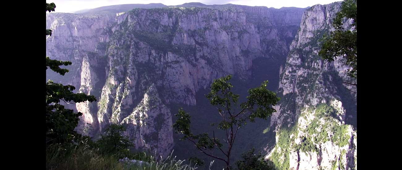 Vikos