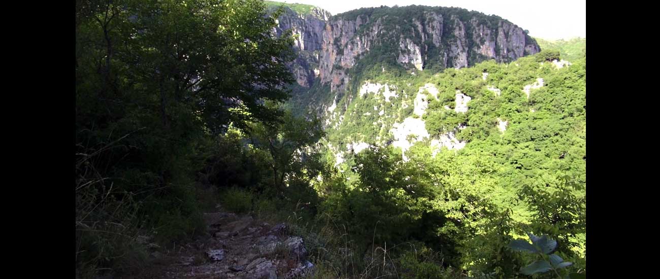 Vikos