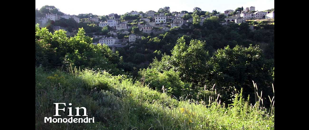 Vikos
