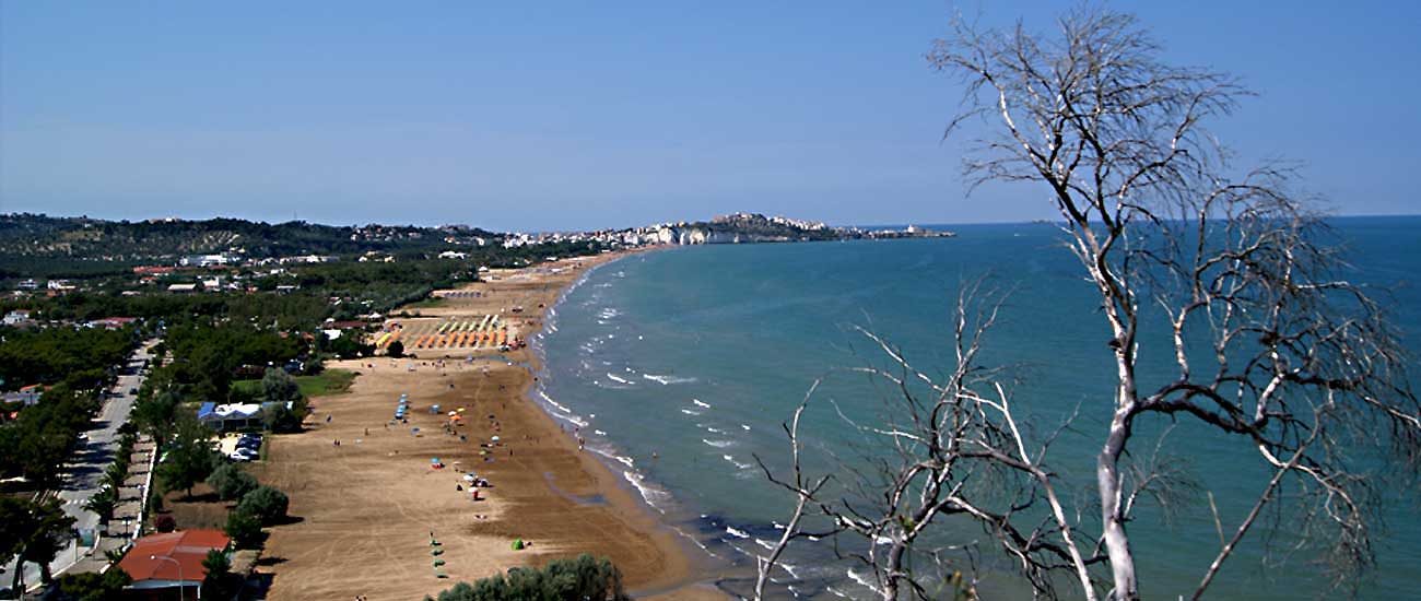 Vieste