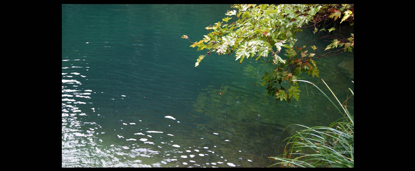 Cascade Karzama