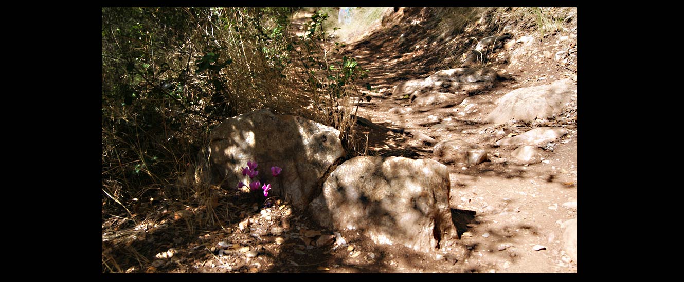 La cascade Néda Potamos