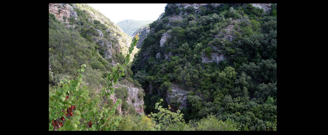 La cascade Néda Potamos