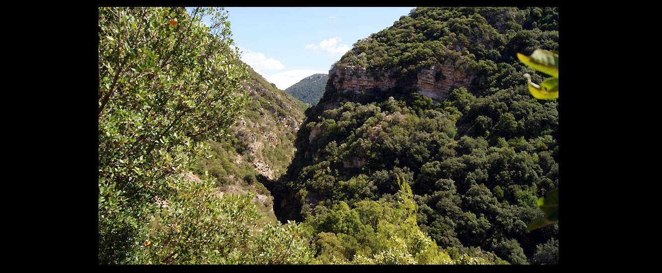 La cascade Néda Potamos