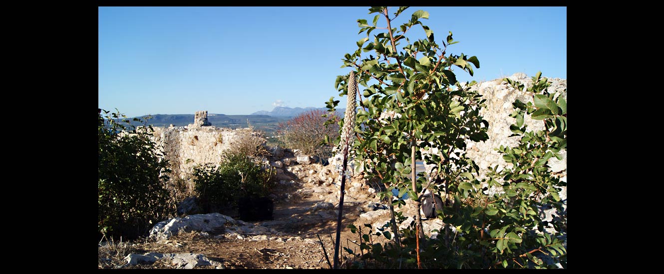 Le chateau Navarino
