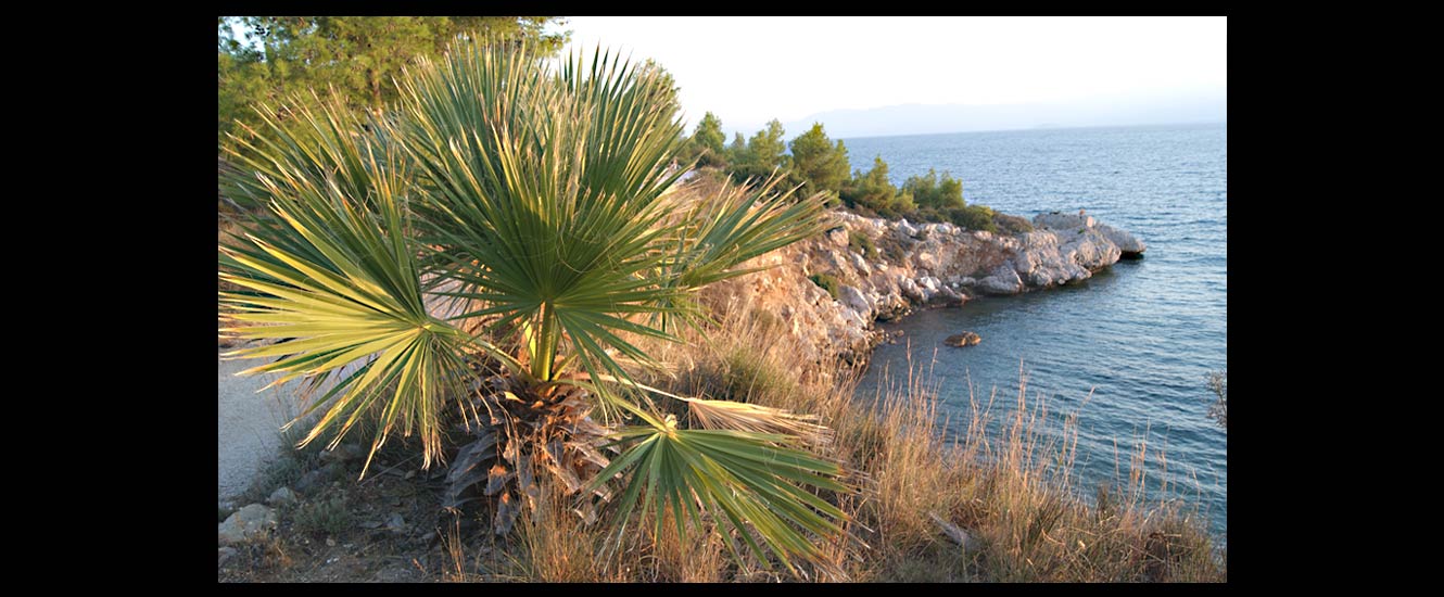 Karathonas Nauplie
