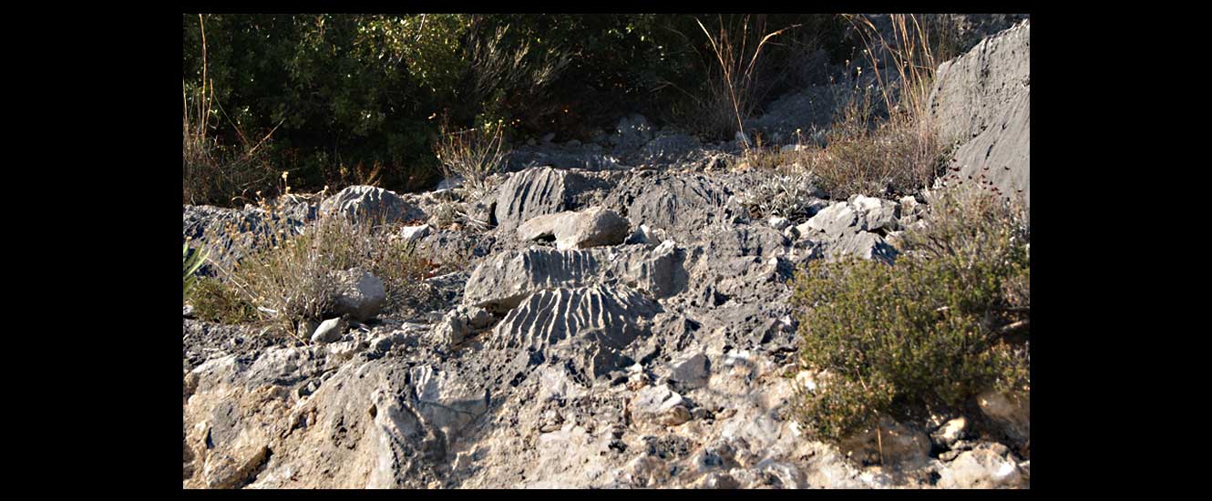 Karathonas Nauplie