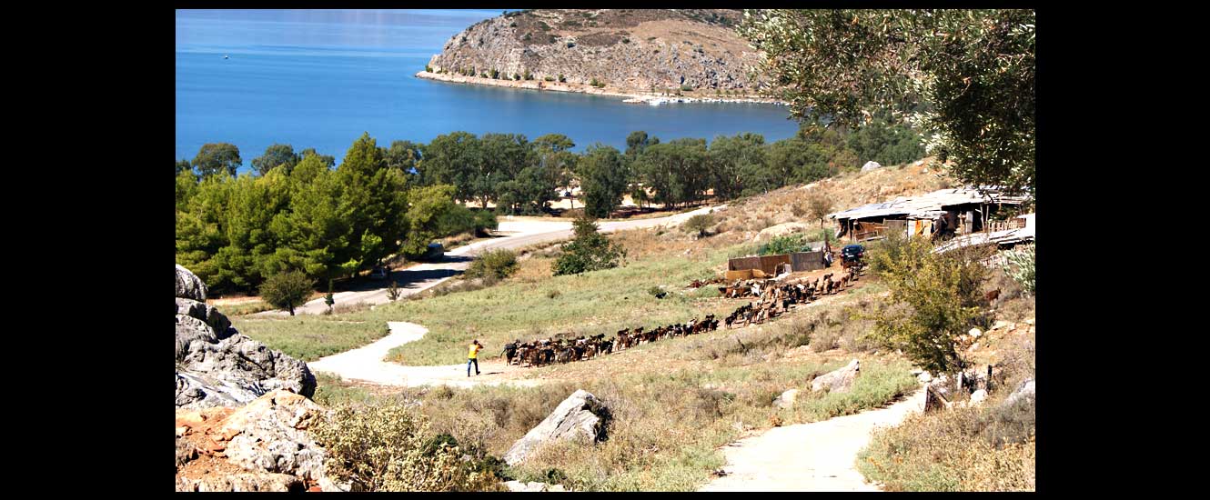 La plage Karathonas
