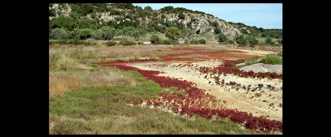 La plage Voidolikia