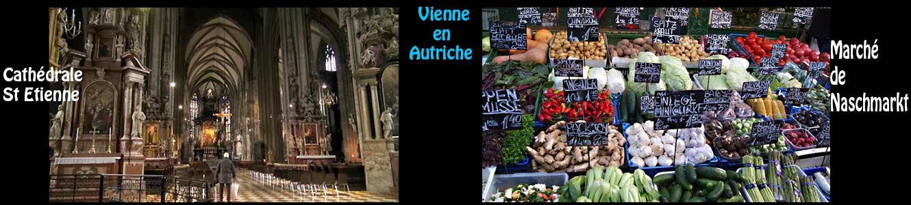 Vienne